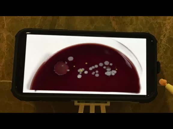 Protégete, protégenos... lávate bien las manos