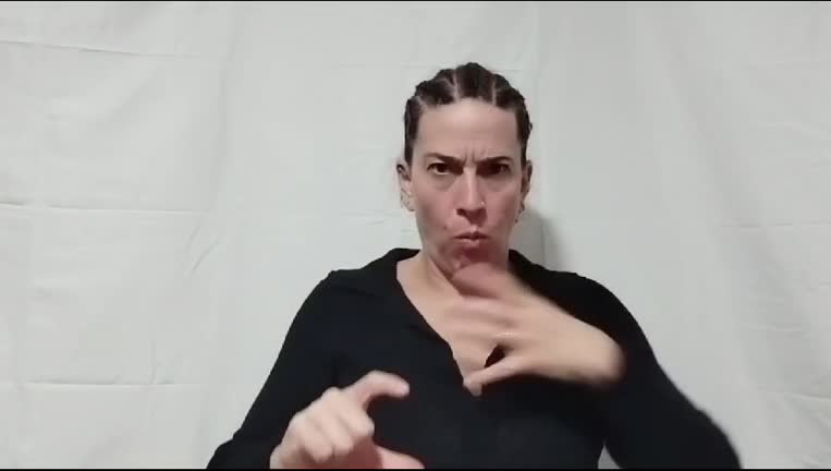 Anexo 1. Solicitud ILSE