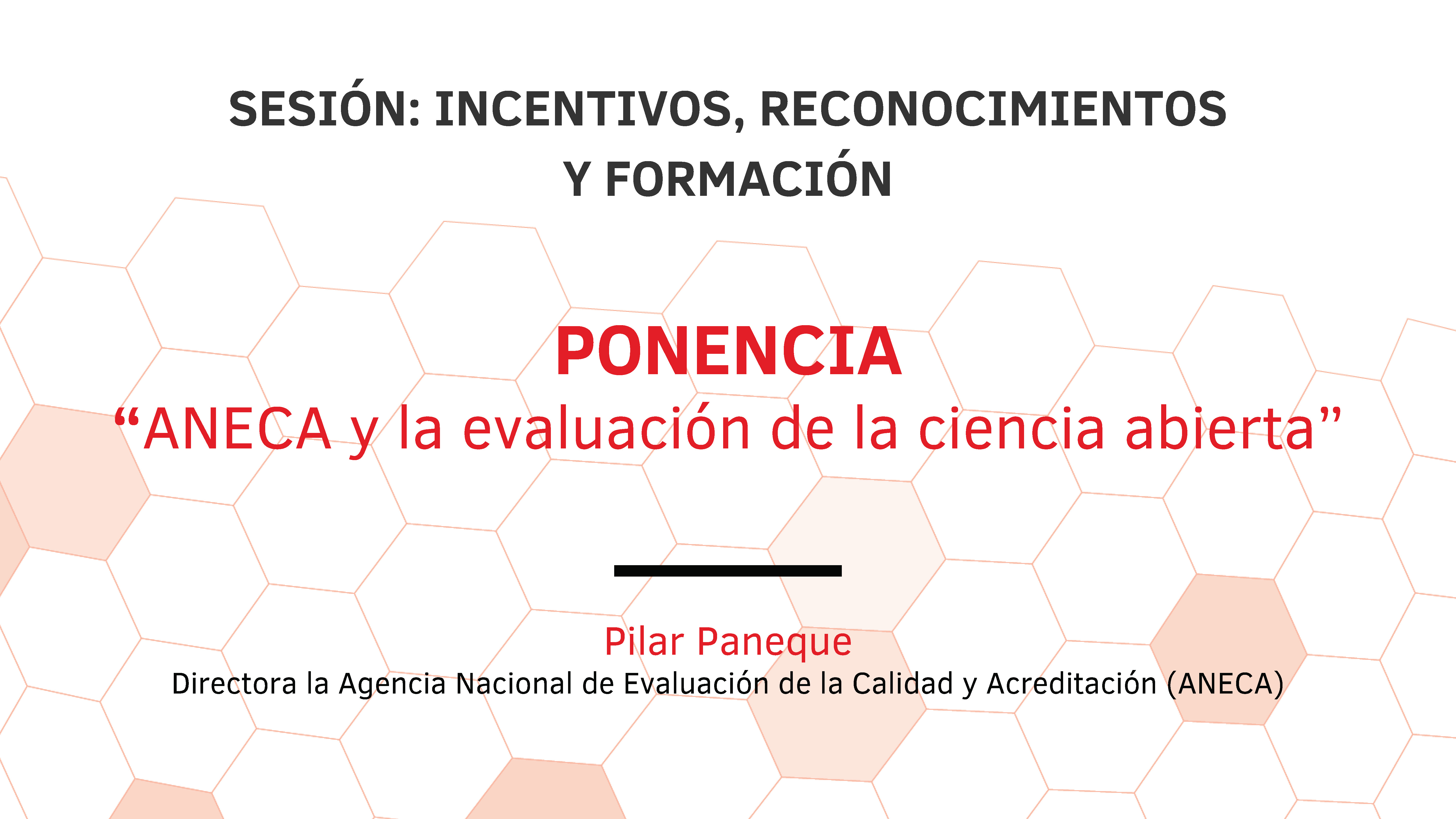 Sesión: Incentivos, reconocimientos y formación