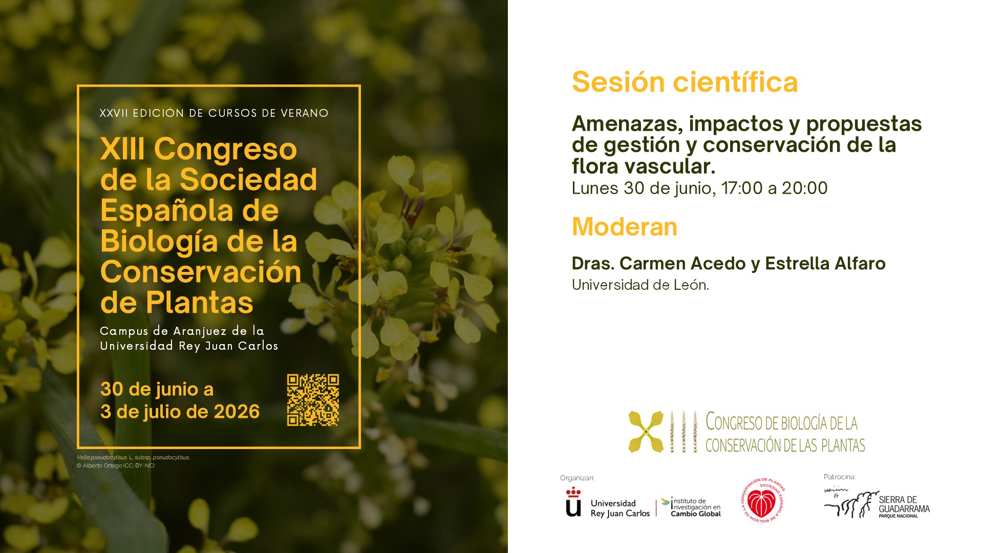 Sesión Científica - Amenazas, impactos y propuestas de gestión y conservación de la flora vascular 2
