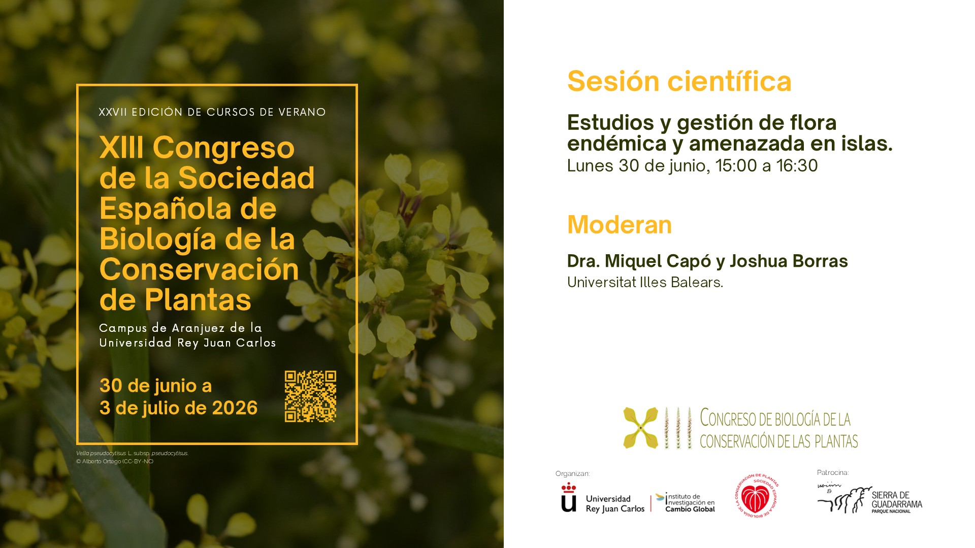 Sesión Científica - Estudios y gestión de flora endémica y amenazada en islas